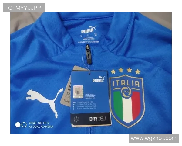 意甲球队训练服颜色大全与品牌合作分析