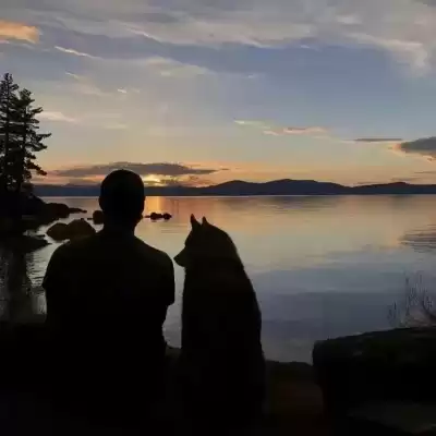 晏青梦